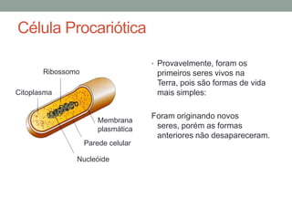 Célula Procariótica
• Provavelmente, foram os
primeiros seres vivos na
Terra, pois são formas de vida
mais simples:
Foram originando novos
seres, porém as formas
anteriores não desapareceram.
Nucleóide
Parede celular
Membrana
plasmática
Ribossomo
Citoplasma
 