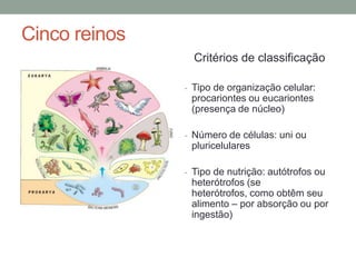 Cinco reinos
Critérios de classificação
- Tipo de organização celular:
procariontes ou eucariontes
(presença de núcleo)
- Número de células: uni ou
pluricelulares
- Tipo de nutrição: autótrofos ou
heterótrofos (se
heterótrofos, como obtêm seu
alimento – por absorção ou por
ingestão)
 