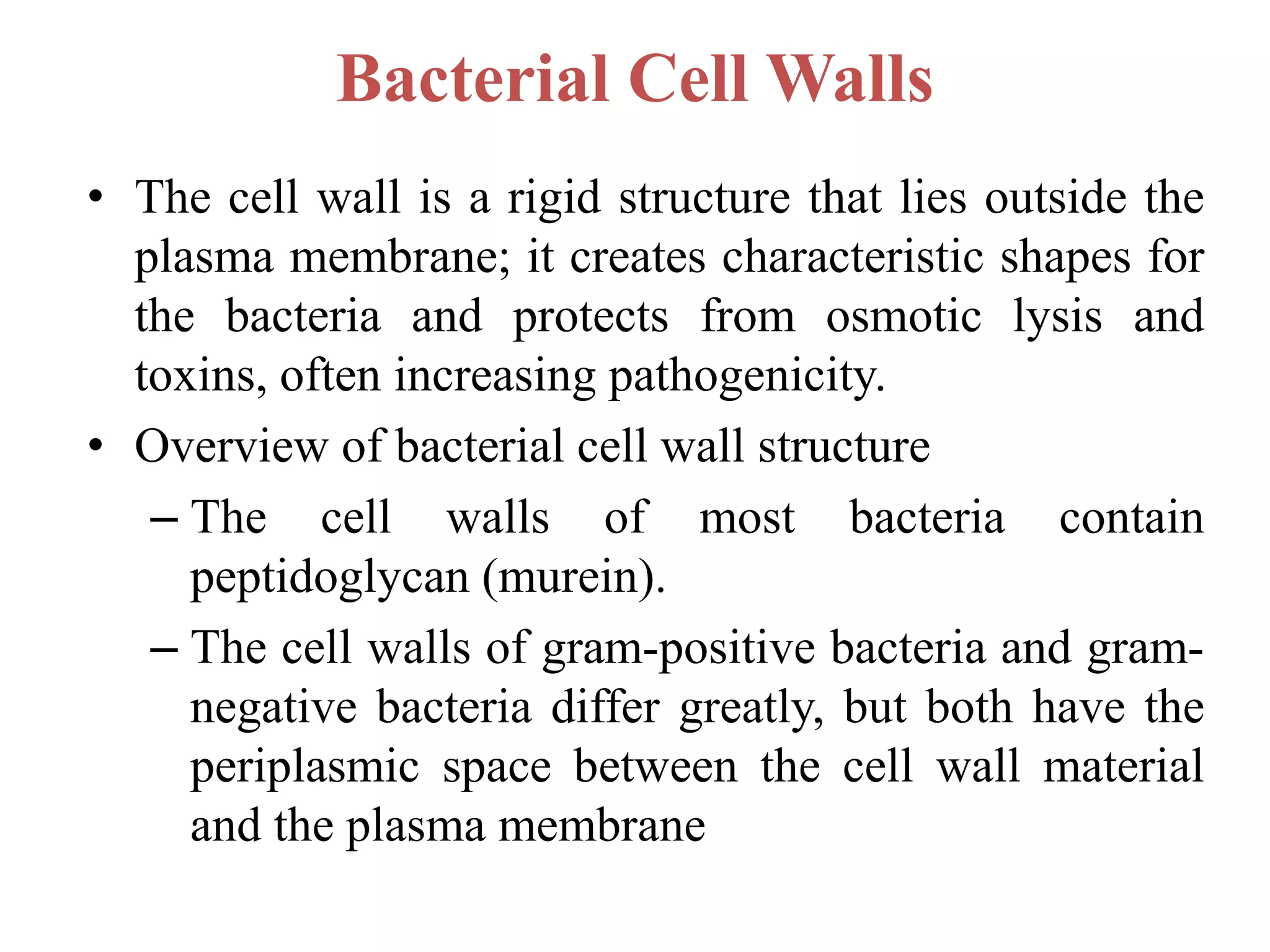 Bacterial Cell Walls
• The cell wall is a rigid structure that lies outside the
plasma membrane; it creates characteristic shapes for
the bacteria and protects from osmotic lysis and
toxins, often increasing pathogenicity.
• Overview of bacterial cell wall structure
– The cell walls of most bacteria contain
peptidoglycan (murein).
– The cell walls of gram-positive bacteria and gram-
negative bacteria differ greatly, but both have the
periplasmic space between the cell wall material
and the plasma membrane
 