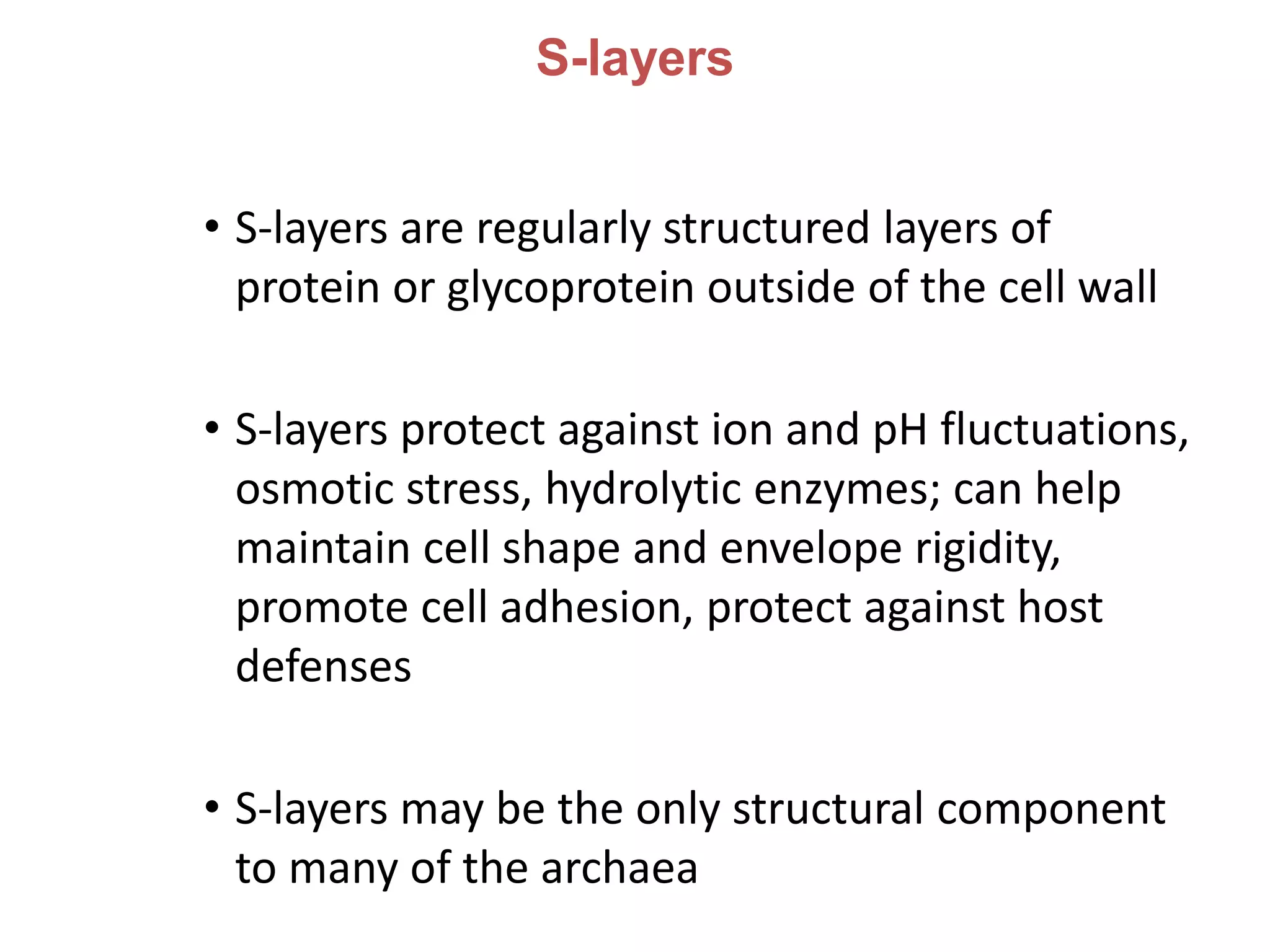 S-layers
• S-layers are regularly structured layers of
protein or glycoprotein outside of the cell wall
• S-layers protect against ion and pH fluctuations,
osmotic stress, hydrolytic enzymes; can help
maintain cell shape and envelope rigidity,
promote cell adhesion, protect against host
defenses
• S-layers may be the only structural component
to many of the archaea
 