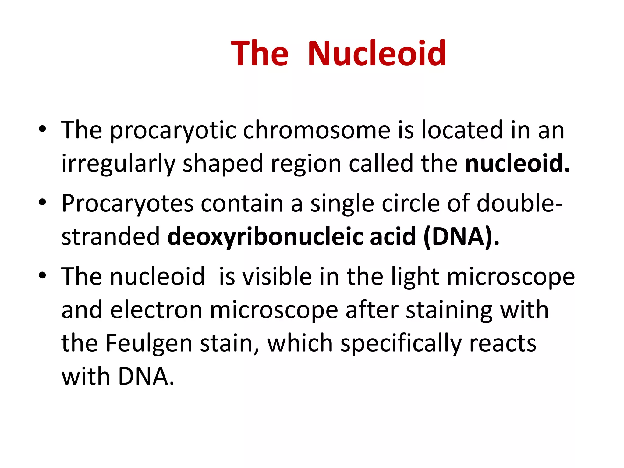 • The procaryotic chromosome is located in an
irregularly shaped region called the nucleoid.
• Procaryotes contain a single circle of double-
stranded deoxyribonucleic acid (DNA).
• The nucleoid is visible in the light microscope
and electron microscope after staining with
the Feulgen stain, which specifically reacts
with DNA.
The Nucleoid
 