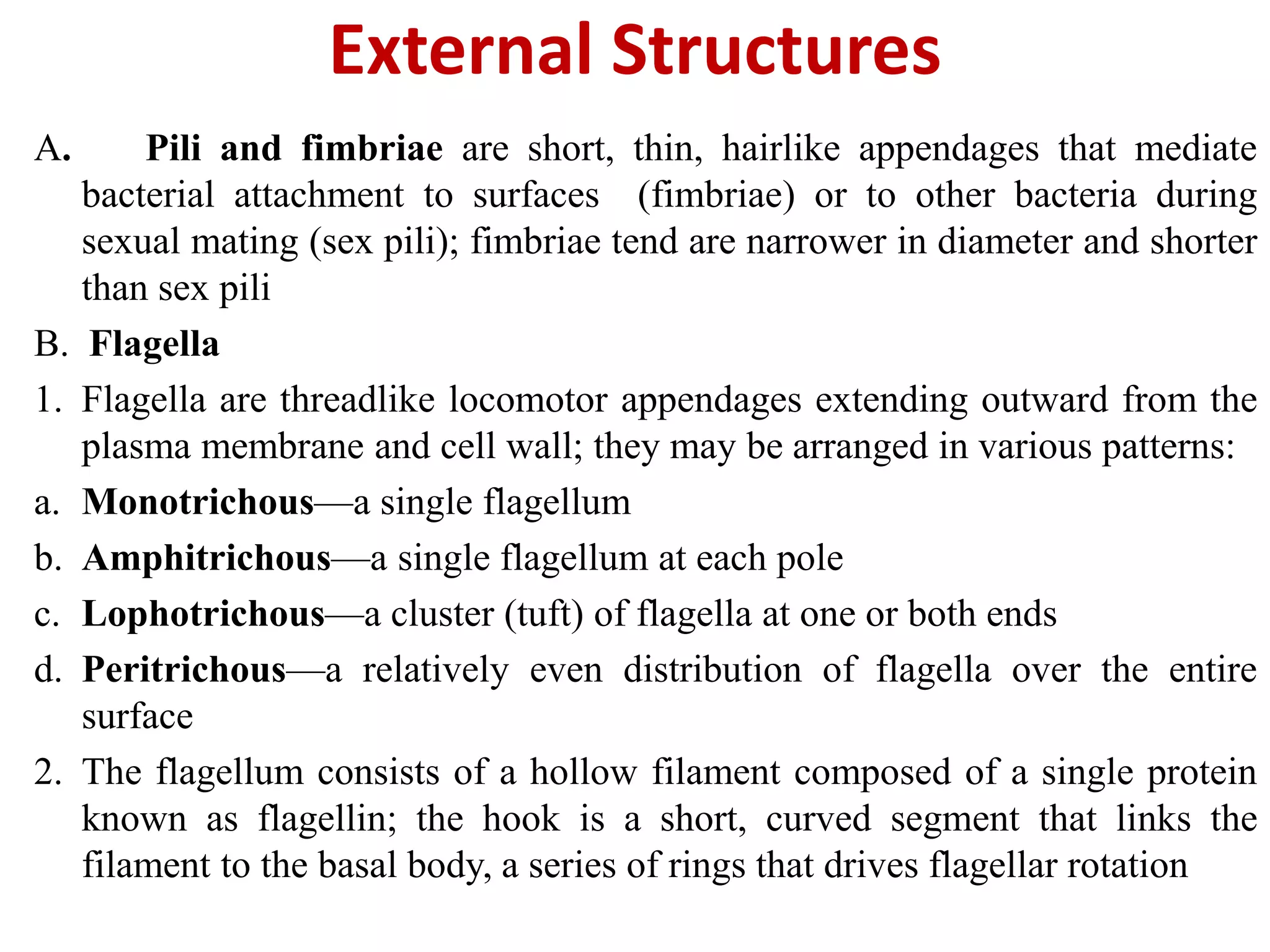 External Structures
A. Pili and fimbriae are short, thin, hairlike appendages that mediate
bacterial attachment to surfaces (fimbriae) or to other bacteria during
sexual mating (sex pili); fimbriae tend are narrower in diameter and shorter
than sex pili
B. Flagella
1. Flagella are threadlike locomotor appendages extending outward from the
plasma membrane and cell wall; they may be arranged in various patterns:
a. Monotrichous—a single flagellum
b. Amphitrichous—a single flagellum at each pole
c. Lophotrichous—a cluster (tuft) of flagella at one or both ends
d. Peritrichous—a relatively even distribution of flagella over the entire
surface
2. The flagellum consists of a hollow filament composed of a single protein
known as flagellin; the hook is a short, curved segment that links the
filament to the basal body, a series of rings that drives flagellar rotation
 