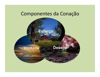 Componentes	
  da	
  Conação	
  


         Esforço



 Vontade         Desejo
 