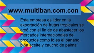 www.multiban.com.con
Esta empresa es lider en la
exportación de frutas tropicales se
creó con el fin de de abastecer los
mercados internacionales de
productos como lo es el banano,
piña aceite,y caucho de palma
 