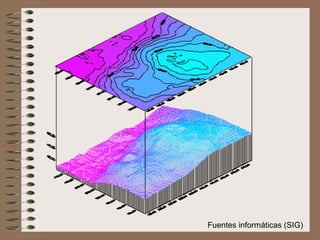 Fuentes informáticas (SIG) 