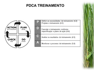 PDCA TREINAMENTO
 