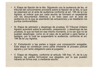 •  II. Etapa de fijación de la litis. Siguiendo con la audiencia de ley, el
tribunal del conocimiento proveerá sobre la fijación de la litis, lo que
se plasmará en el acta de audiencia conforme al art. 195 de la Ley
Agraria, al indicar que por cada asunto se formará un expediente
con los documentos relativos y en todo caso con el acta de
audiencia en la que se asentarán las actuaciones y se resaltaran los
puntos controvertidos.
•  III. Etapa de admisión y desahogo de pruebas. El Tribunal Unitario
Agrario acordará sobre la admisión, preparación y desahogo de las
pruebas, lo que se hará en ese mismo momento, a no ser que no se
puedan desahogar, como en el caso de la pericial o para llamar a
testigos, por lo cual se suspenderá la audiencia, conforme al art.
194 de la Ley Agraria.
•  IV. Exhortación a las partes a lograr una composición amigable.
Esta etapa se constituye como parte inherente al proceso judicial
agrario y por tanto obligatorio para el juzgador.
•  V. Etapa de Alegatos, conforme al articulo 185 frac. VI, de la Ley
Agraria, las partes formularan sus alegatos, por lo que pueden
hacerlo en forma oral, o mediante escrito.
 