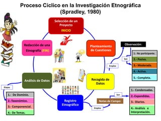 Procedimiento Analítico de Spradley grupo 4 upel_barinas | PPTX