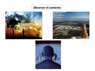 Observar el contexto