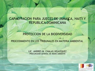 CAPACITACION PARA JUECES DE JAMAICA, HAITI Y REPUBLICA DOMINICANA PROTECCION DE LA BIODIVERSIDAD PROCEDIMIENTO EN LOS TRIBUNALES EN MATERIA AMBIENTAL  LIC. ANDRES M. CHALAS VELAZQUEZ PROCURADOR GENERAL DE MEDIO AMBIENTE 