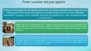 Poder cautelar del juez agrario
A estos se le otorgan las facultades necesarias en materia cautelar para asegurar la no
interrupción de la producción agraria y la preservación de los recursos naturales
renovables, haciendo cesar cualquier amenaza de paralización, ruina, desmejoramiento
o destrucción.
Deben velar por el mantenimiento de la seguridad agroalimentaria, por o que de deberán dictar
oficiosamente las medidas pertinentes a objeto de asegurar la no interrupción de la producción
agraria y la preservación de los recursos naturales renovables, haciendo cesar cualquier amenaza
ambiental.
Podrán dictar oficiosamente medidas cautelares provisionales orientadas a proteger el interés colectivo, las
cuales tendrán por finalidad la protección de los derechos del productor rural, de los bienes agropecuarios,
la utilidad pública de las materias agrarias, así como también la protección del interés general de la
actividad agraria, cuando considere que se amenaza la continuidad del proceso agroalimentario o se
pongan en peligro los recursos naturales renovables.
 