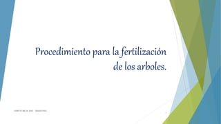 Procedimiento para la fertilización
de los arboles.
LISBETH MEJIA DIAZ GRADO1002
1
 