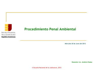 Procedimiento Penal Ambiental


                                                Miércoles 20 de Junio del 2012




                                                          Docente: Lic. Andrés Chalas


    © Escuela Nacional de la Judicatura, 2012
 