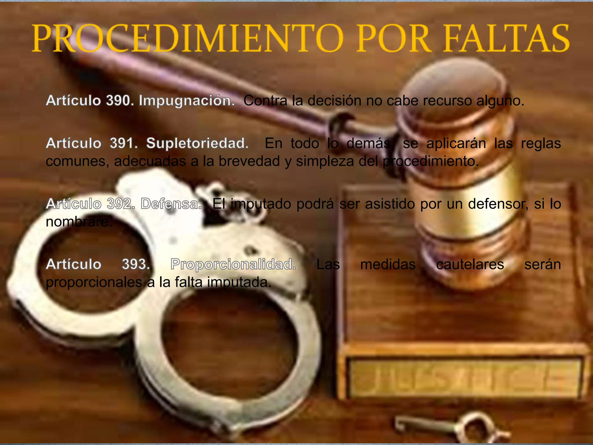 Contra la decisión no cabe recurso alguno.
En todo lo demás, se aplicarán las reglas
comunes, adecuadas a la brevedad y simpleza del procedimiento.
El imputado podrá ser asistido por un defensor, si lo
nombrare.
Las medidas cautelares serán
proporcionales a la falta imputada.
 