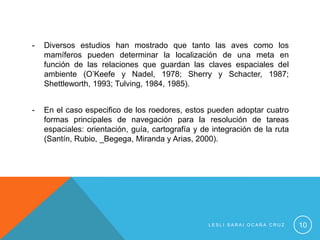 -   Diversos estudios han mostrado que tanto las aves como los
    mamíferos pueden determinar la localización de una meta en
    función de las relaciones que guardan las claves espaciales del
    ambiente (O’Keefe y Nadel, 1978; Sherry y Schacter, 1987;
    Shettleworth, 1993; Tulving, 1984, 1985).


-   En el caso especifico de los roedores, estos pueden adoptar cuatro
    formas principales de navegación para la resolución de tareas
    espaciales: orientación, guía, cartografía y de integración de la ruta
    (Santín, Rubio, _Begega, Miranda y Arias, 2000).




                                                   LESLI SARAI OCAÑA CRUZ    10
 