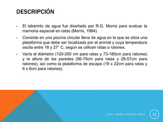 DESCRIPCIÓN

-   El laberinto de agua fue diseñado por R.G. Morris para evaluar la
    memoria espacial en ratas (Morris, 1984).
-   Consiste en una piscina circular llena de agua en la que se sitúa una
    plataforma que debe ser localizada por el animal y cuya temperatura
    oscila entre 18 y 27° C, según se utilicen ratas o ratones.
-   Varía el diámetro (120-200 cm para ratas y 73-180cm para ratones)
    y la altura de las paredes (56-75cm para ratas y 28-57cm para
    ratones), así como la plataforma de escape (19 x 22cm para ratas y
    6 x 6cm para ratones).




                                                  LESLI SARAI OCAÑA CRUZ    12
 