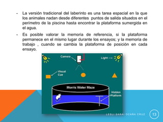 -   La versión tradicional del laberinto es una tarea espacial en la que
    los animales nadan desde diferentes puntos de salida situados en el
    perímetro de la piscina hasta encontrar la plataforma sumergida en
    el agua.
-   Es posible valorar la memoria de referencia, si la plataforma
    permanece en el mismo lugar durante los ensayos; y la memoria de
    trabajo , cuando se cambia la plataforma de posición en cada
    ensayo.




                                                 LESLI SARAI OCAÑA CRUZ    13
 