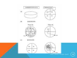 LESLI SARAI OCAÑA CRUZ   16
 
