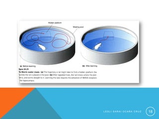 LESLI SARAI OCAÑA CRUZ   18
 