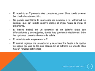 -   El laberinto en T presenta dos corredores, y con él se puede evaluar
    las conductas de elección.
-   Se puede cuantificar la respuesta de acuerdo a la velocidad de
    carrera, que tan rápido recorre desde el inicio hasta la meta el
    organismo.
-   El diseño básico de un laberinto es un camino largo con
    bifurcaciones y encrucijadas, donde hay que tomar decisiones. Sólo
    las opciones correctas llevan a la salida.
-   El laberinto más simple es una T.
-   El animal ingresa por un extremo y se encuentra frente a la opción
    de seguir por uno de los dos brazos. En el extremo de uno de ellos
    hay un refuerzo (alimento).




                                                 LESLI SARAI OCAÑA CRUZ    3
 