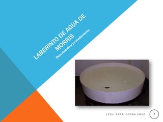 LESLI SARAI OCAÑA CRUZ   7
 