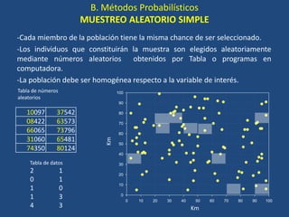 B. Métodos Probabilísticos
MUESTREO ALEATORIO SIMPLE
-Cada miembro de la población tiene la misma chance de ser seleccionado.
-Los individuos que constituirán la muestra son elegidos aleatoriamente
mediante números aleatorios obtenidos por Tabla o programas en
computadora.
-La población debe ser homogénea respecto a la variable de interés.
0 10 20 30 40 50 60 70 80 90 100
0
10
20
30
40
50
60
70
80
90
100
Km
Km
10097 37542
08422 63573
66065 73796
31060 65481
74350 80124
Tabla de números
aleatorios
Tabla de datos
2 1
0 1
1 0
1 3
4 3
 