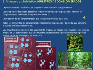 B. Muestreo probabilístico. MUESTREO DE CONGLOMERADOS
La población está subdividida en subpoblaciones llamadas conglomerados.
Los conglomerados deben presentar toda la variabilidad de la población. Además los
conglomerados deben ser muy parecidos entre sí.
La selección de los conglomerados que integran la muestra es al azar.
Todos los elementos del conglomerado representan la población, de modo que conviene
incluirlos a todos en la muestra.
Una muestra de conglomerados, usualmente produce un mayor error muestral y es menos
precisa en las estimaciones que una muestra aleatoria simple del mismo tamaño pero es
menos costosa y mas rápida de muestrear.
 