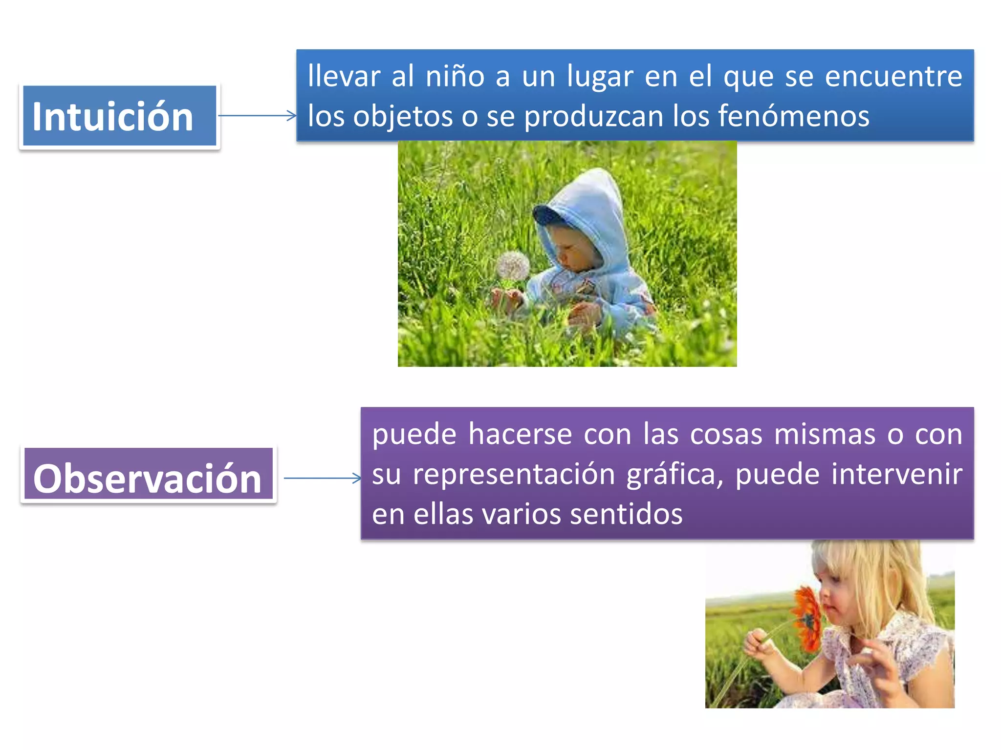 Intuición

Observación

llevar al niño a un lugar en el que se encuentre
los objetos o se produzcan los fenómenos

puede hacerse con las cosas mismas o con
su representación gráfica, puede intervenir
en ellas varios sentidos

 