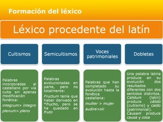 Page 3
Formación del léxico