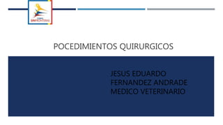 POCEDIMIENTOS QUIRURGICOS
JESUS EDUARDO
FERNANDEZ ANDRADE
MEDICO VETERINARIO
 