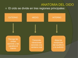  El oído se divide en tres regiones principales:
EXTERNO MEDIO INTERNO
Recoge las
ondas
sonoras y las
canaliza al
interior
Transmite
vibraciones
sonoras a la
ventana oval
Aloja los
receptores
del equilibrio
y la audición
ANATOMIA DEL OIDO
 