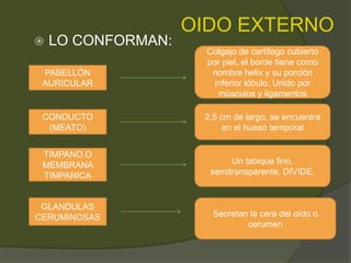 OIDO EXTERNO
 LO CONFORMAN:
PABELLÓN
AURICULAR
CONDUCTO
(MEATO)
TIMPANO O
MEMBRANA
TIMPANICA
GLANDULAS
CERUMINOSAS
Colgajo de cartílago cubierto
por piel, el borde tiene como
nombre helix y su porción
inferior lóbulo. Unido por
músculos y ligamentos
2.5 cm de largo, se encuentra
en el hueso temporal
Un tabique fino,
semitransparente, DIVIDE.
Secretan la cera del oído o
cerumen
 