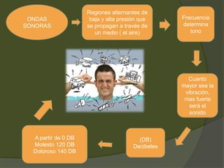 ONDAS
SONORAS
Regiones alternantes de
baja y alta presión que
se propagan a través de
un medio ( el aire)
Frecuencia
determina
tono
Cuanto
mayor sea la
vibración,
mas fuerte
será el
sonido
(DB)
Decibeles
A partir de 0 DB
Molesto 120 DB
Doloroso 140 DB
 
