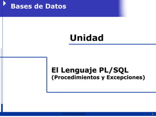 Bases de Datos



                    Unidad


          El Lenguaje PL/SQL
          (Procedimientos y Excepciones)




             2011   Erwin Fischer          2
 