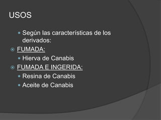USOS
 Según las características de los
derivados:
 FUMADA:
 Hierva de Canabis
 FUMADA E INGERIDA:
 Resina de Canabis
 Aceite de Canabis
 