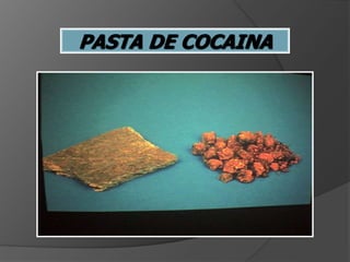 PASTA DE COCAINA
 