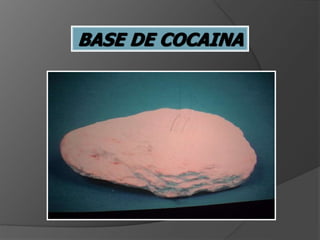 BASE DE COCAINA
 