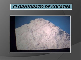 CLORHIDRATO DE COCAINA
 