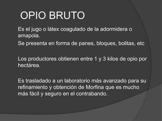 OPIO BRUTO
Es el jugo o látex coagulado de la adormidera o
amapola.
Se presenta en forma de panes, bloques, bolitas, etc
Los productores obtienen entre 1 y 3 kilos de opio por
hectárea.
Es trasladado a un laboratorio más avanzado para su
refinamiento y obtención de Morfina que es mucho
más fácil y seguro en el contrabando.
 