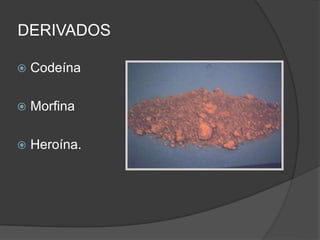 DERIVADOS
 Codeína
 Morfina
 Heroína.
 