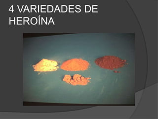 4 VARIEDADES DE
HEROÍNA
 
