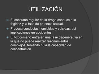 UTILIZACIÓN
 El consumo regular de la droga conduce a la
frigidez y la falta de potencia sexual.
 Provoca conductas homicidas y suicidas, así
implicaciones en accidentes.
 El toxicómano entra en una fase degenerativa en
la que no puede realizar razonamientos
complejos, teniendo nula la capacidad de
concentración.
 