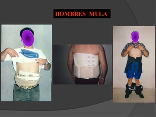 HOMBRES MULA
 