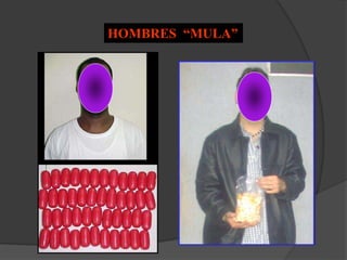 HOMBRES “MULA”
 
