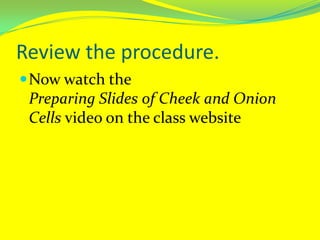 Review the procedure.Now watch the Preparing Slides of Cheek and Onion Cells video on the class website