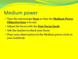 Medium powerTurn the microscope Nose so that the Medium Power Objective lens is in use.Adjust the focus with the Fine Focus knob.Ask the teacher to check your focusDraw your observations in the Medium power circle in your notebook.