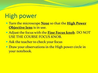 High powerTurn the microscope Nose so that the High Power Objective lens is in use.Adjust the focus with the Fine Focus knob. DO NOT USE THE COURSE FOCUS KNOB.Ask the teacher to check your focusDraw your observations in the High power circle in your notebook.