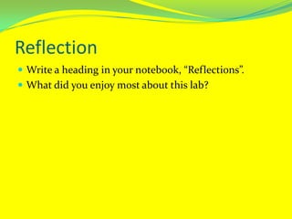 ReflectionWrite a heading in your notebook, “Reflections”.What did you enjoy most about this lab?