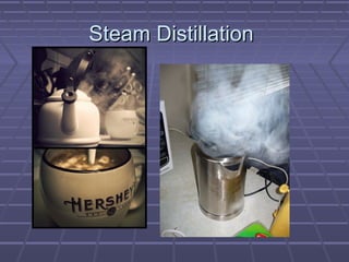 Steam Distillation
 
