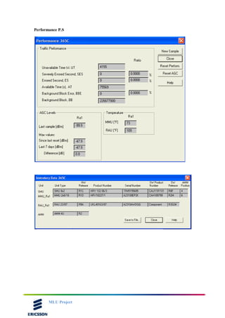 MLU Project
Performance P.S
 